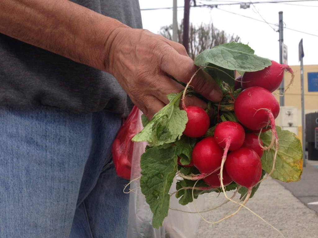 A gentleman named Jose brings me water and offers some radishes too.